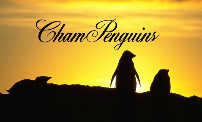 ChamPenguins-domain-28